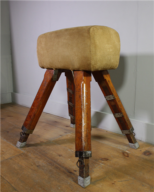 Vintage Suede Pommel Horse